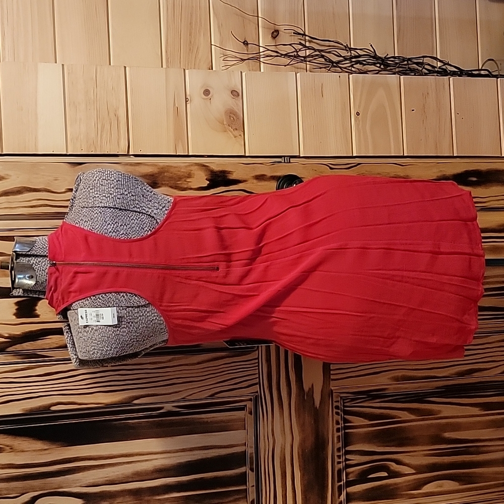 Express Dress - Picture 3 of 4